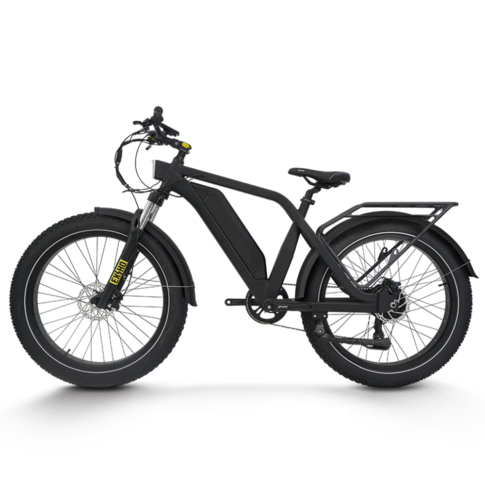 Bicicleta Eléctrica para Adult - 48V 1500W Rear Hub Motor With Battery reseña y precio