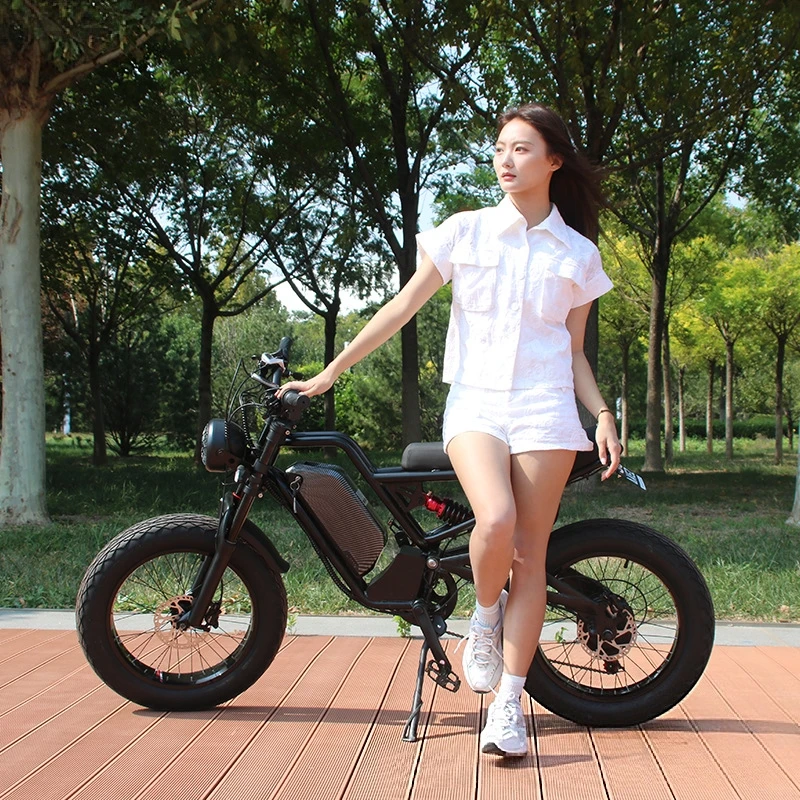 Batería de litio SXLL SXLL13Ah - 48V 1500W Rear Hub Motor With Battery reseña y precio